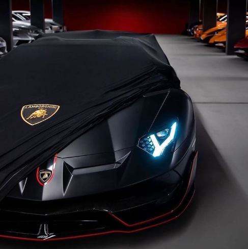 LAMBORGHINI HURACAN PERFORMANTE-SPYDER (2017-2019) Indoor Car Cover