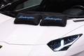 Lamborghini Neck Pillows  Premium Comfort and Style (2 PCS)