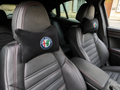 ALFA ROMEO Velvet Neck Pillow, 2pcs