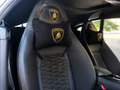 Lamborghini Velvet Neck Pillow, 2pcs