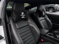 Shelby Velvet Neck Pillow, 2pcs ( GT350-GT500-Cobra )