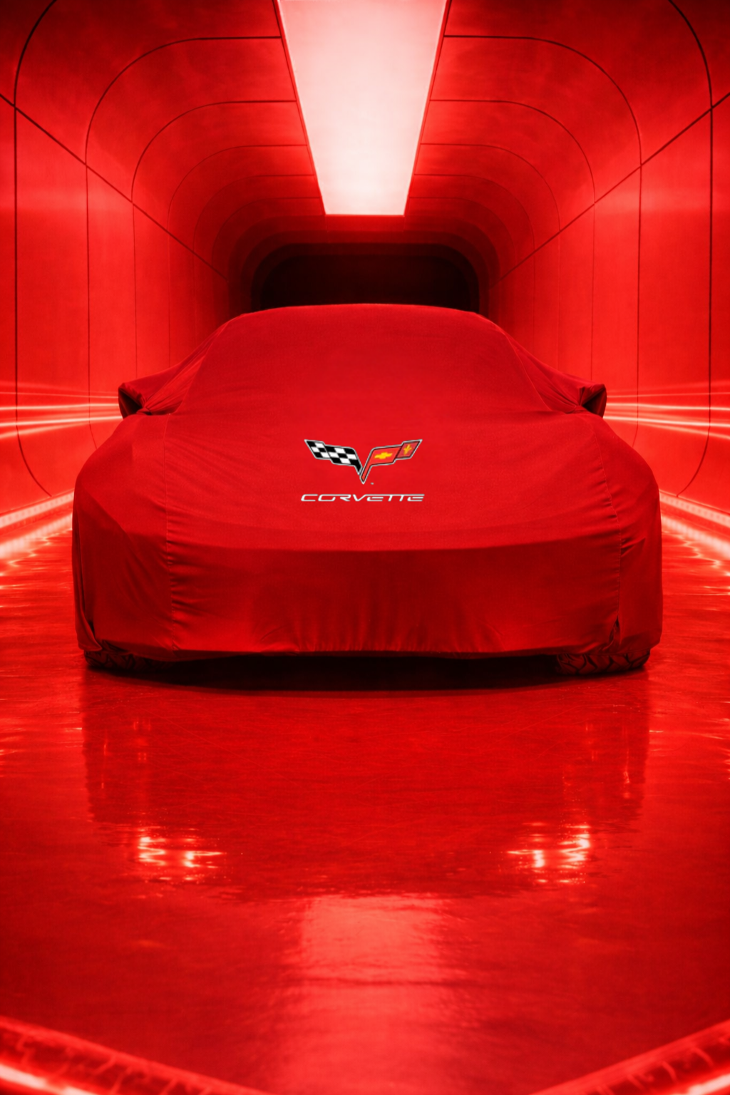 Corvette Car Cover indoor