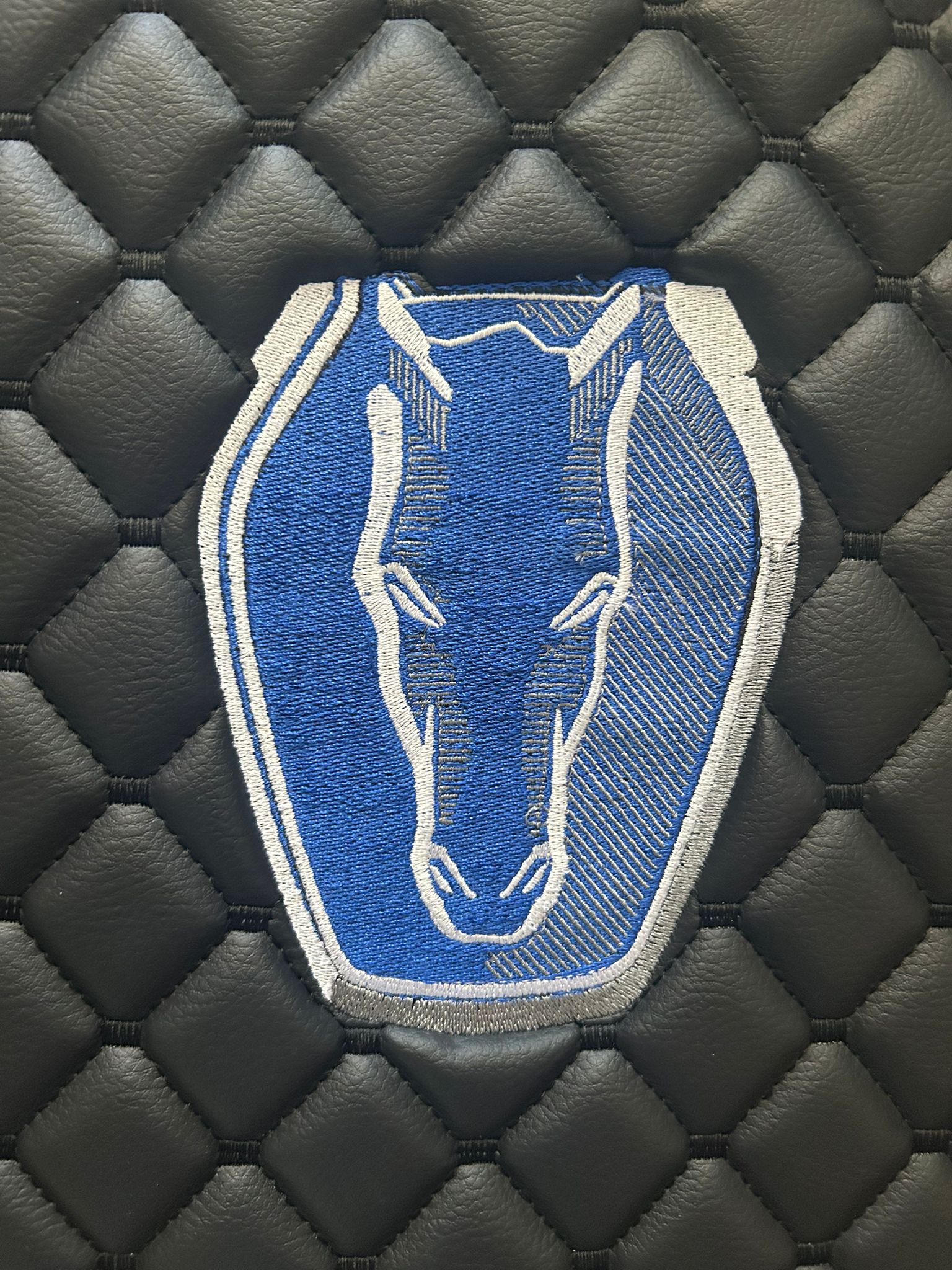 Mustang Dark Horse Leather Floor Mats Custom Waterproof Car Mats for all DarkHorse Series